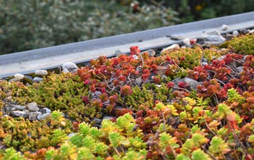 the cost of Chelveston green roof installation