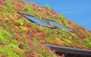 Chelveston living roof systems