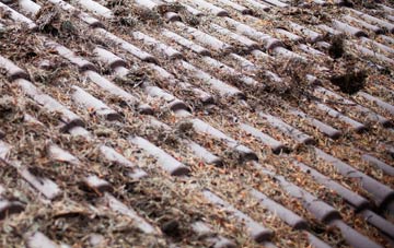 Chelveston roof cleaning companies