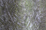 Chelveston fibreglass roof work